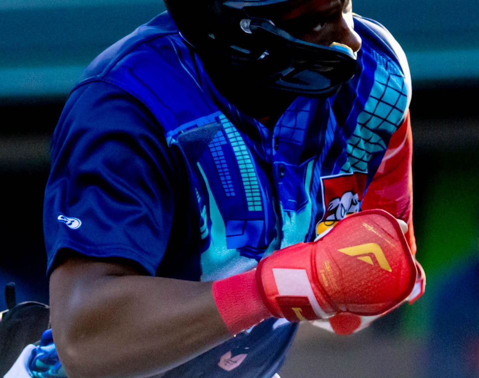 Sea Dogs vs Patriots, June 20th, 2026 by Holly Arend