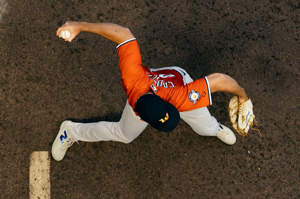 Salt Lake Bees vs Las Vegas Aviators by Lauren Henwood