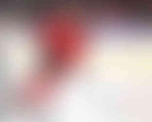 2026 AHL All Star Classic Photos by Christina Winnegar