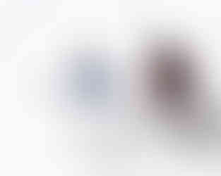 Maple Leafs vs Hurricanes by Christina Winnegar 12/04/2025