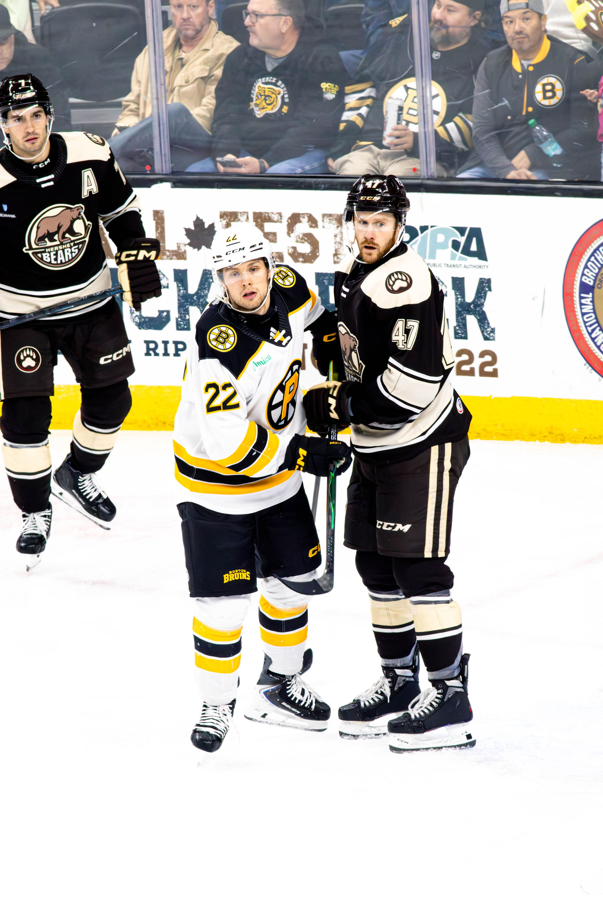Hershey vs Providence by Holly Arend 