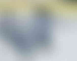 Minnesota Frost vs Toronto Sceptres Photographed by Sojung Kim