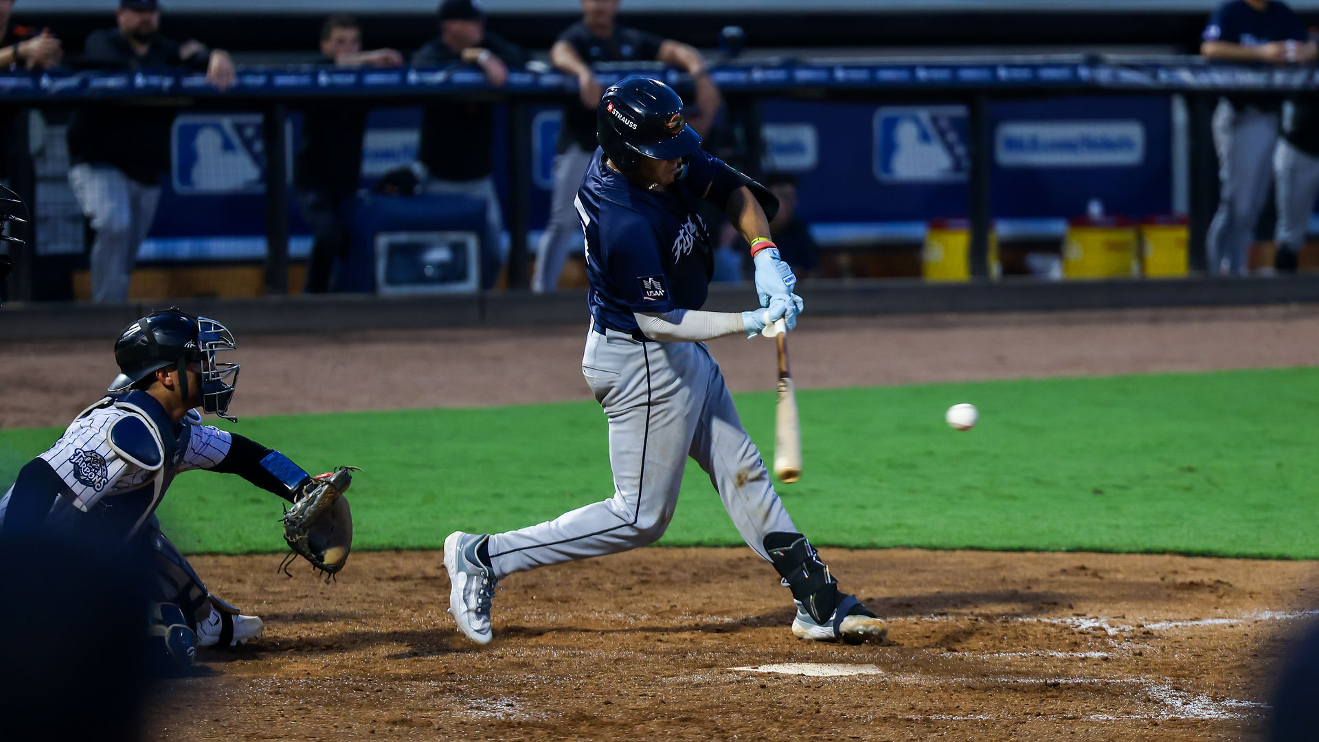 Tarpons vs Flying Tigers Photographed by Amanda LaMonda
