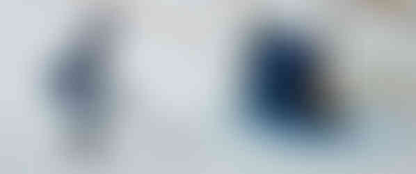 Minnesota Frost vs Toronto Sceptres Photographed by Sojung Kim