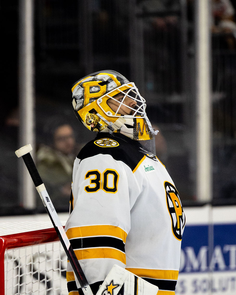 Providence Bruins vs Charlotte Checkers| photos by Olivia King