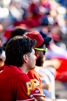 Sea Dogs vs Curve by Holly Arend