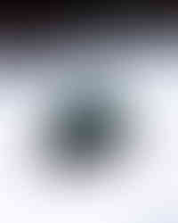 FLEET VS GOLDENEYES BY OLIVIA KING