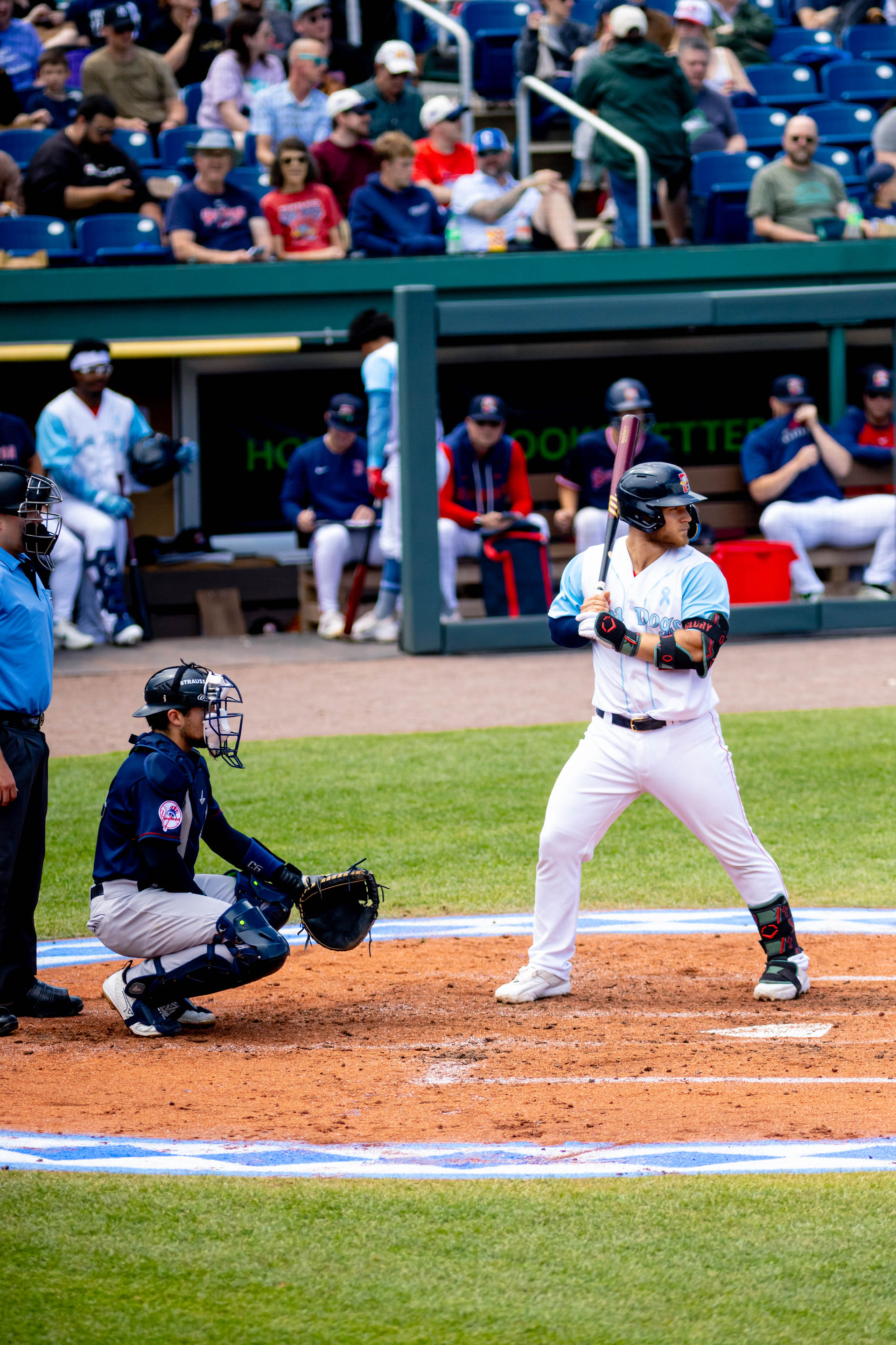 Portland Sea Dogs vs Somerset Patriots, June 21 2026 by Holly Arend