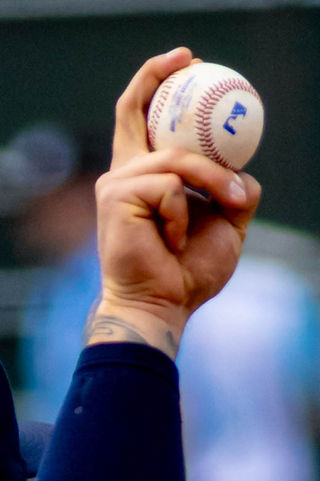 Portland Sea Dogs vs Somerset Patriots, June 21 2026 by Holly Arend