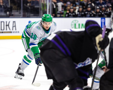 Florida Everblades vs. Orlando Solar Bears Photographed by Christina Winnegar