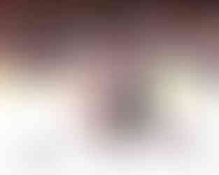 The New Jersey Devils vs. the Carolina Hurricanes, photographed by Christina Winnegar.