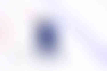 New York Sirens vs Toronto Sceptres by SoJung Kim