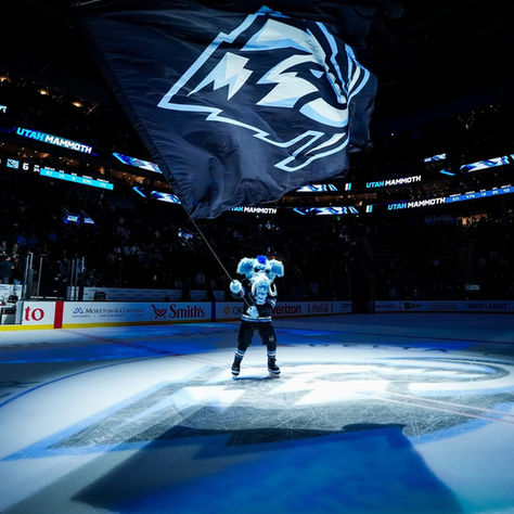 Opinion: The Rise and Fall of Utah Hockey: Grizzlies Run as Mammoth Roar