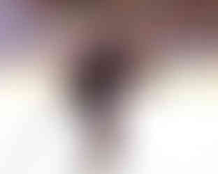 The New Jersey Devils vs. the Carolina Hurricanes, photographed by Christina Winnegar.