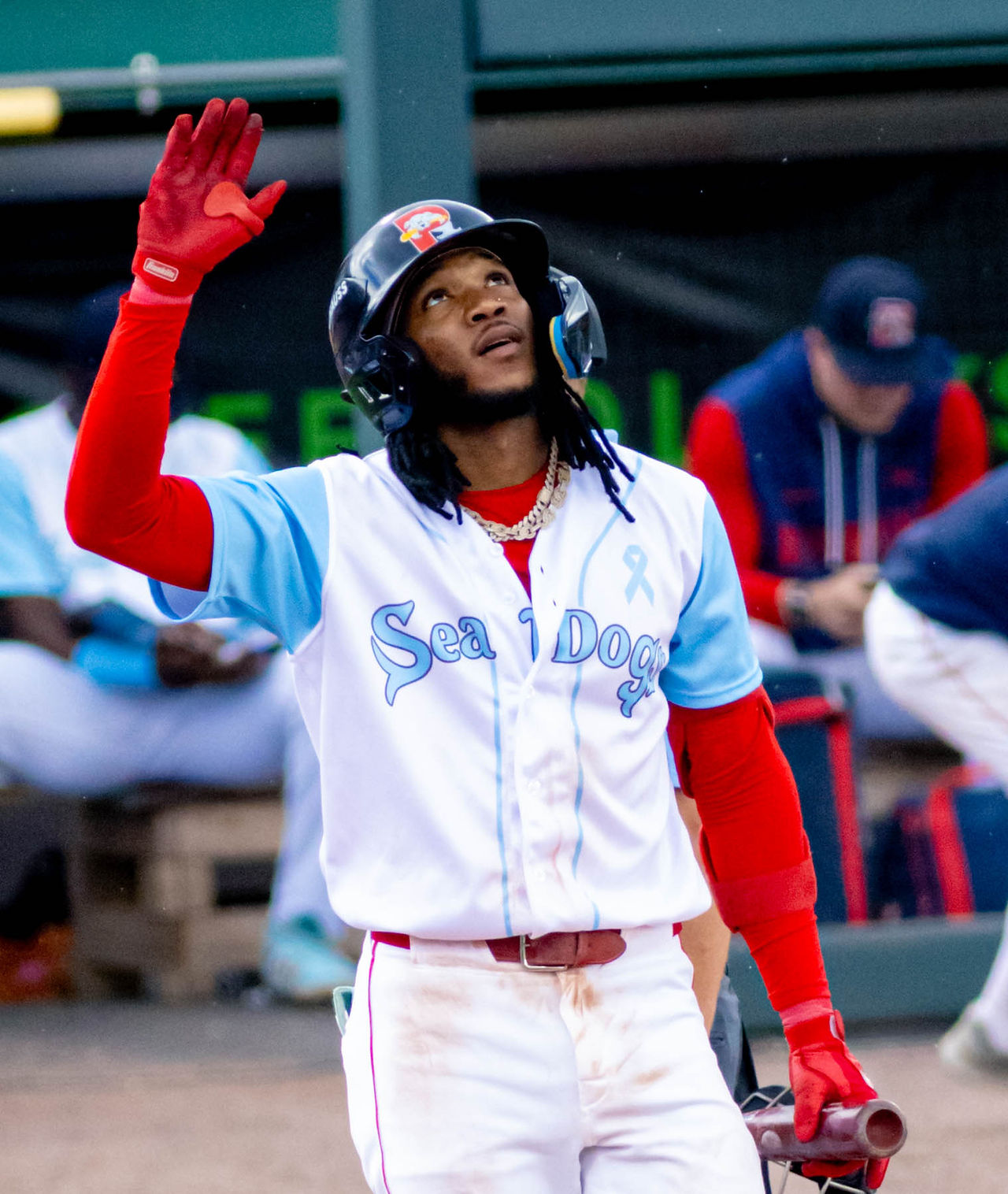 Portland Sea Dogs vs Somerset Patriots, June 21 2026 by Holly Arend