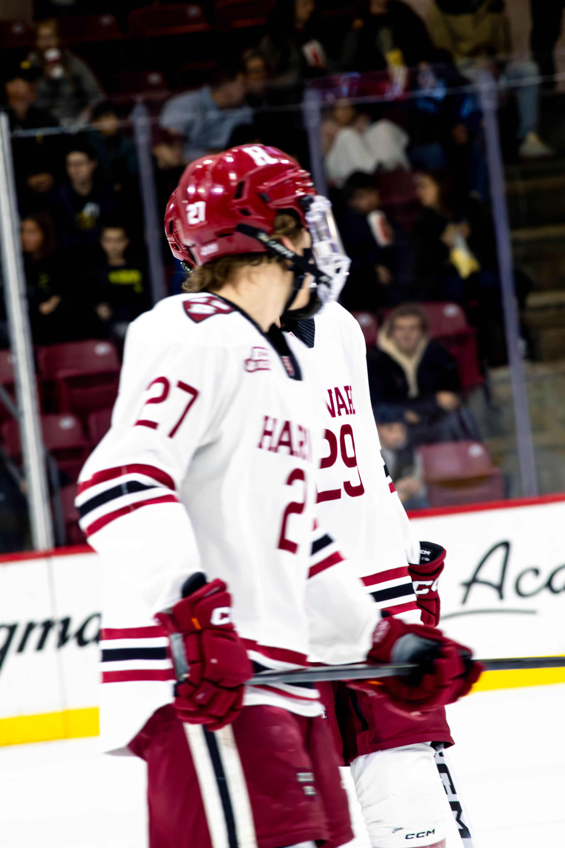 HARVARD VS UMICH BY HOLLY AREND