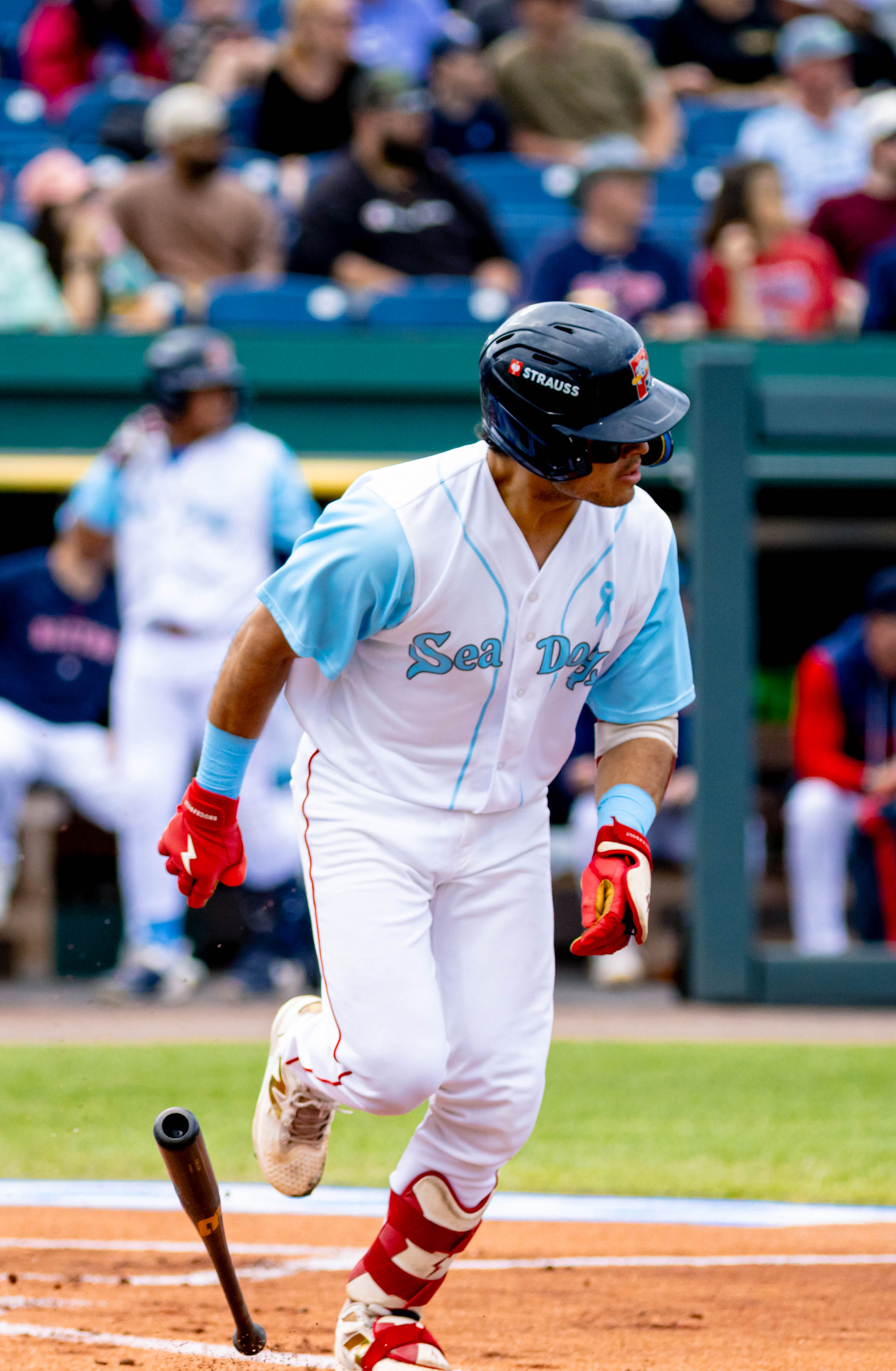 Portland Sea Dogs vs Somerset Patriots, June 21 2026 by Holly Arend