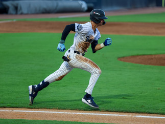 Tarpons vs Flying Tigers Photographed by Amanda LaMonda