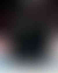 Northeastern and Army | Photos by Holly Arend