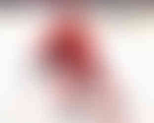 2026 AHL All Star Classic Photos by Christina Winnegar