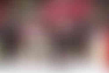 The New Jersey Devils vs. the Carolina Hurricanes, photographed by Christina Winnegar.