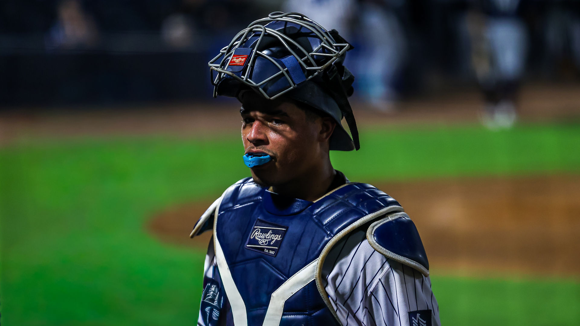 Tarpons vs Flying Tigers Photographed by Amanda LaMonda