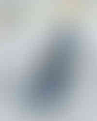 Minnesota Frost vs Toronto Sceptres Photographed by Sojung Kim