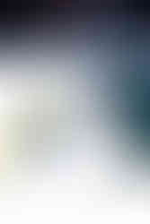 photos by holly arend