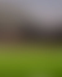 Real Salt Lake vs Tigres UANL by Lauren Henwood
