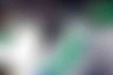 Florida Everblades vs. Orlando Solar Bears Photographed by Christina Winnegar