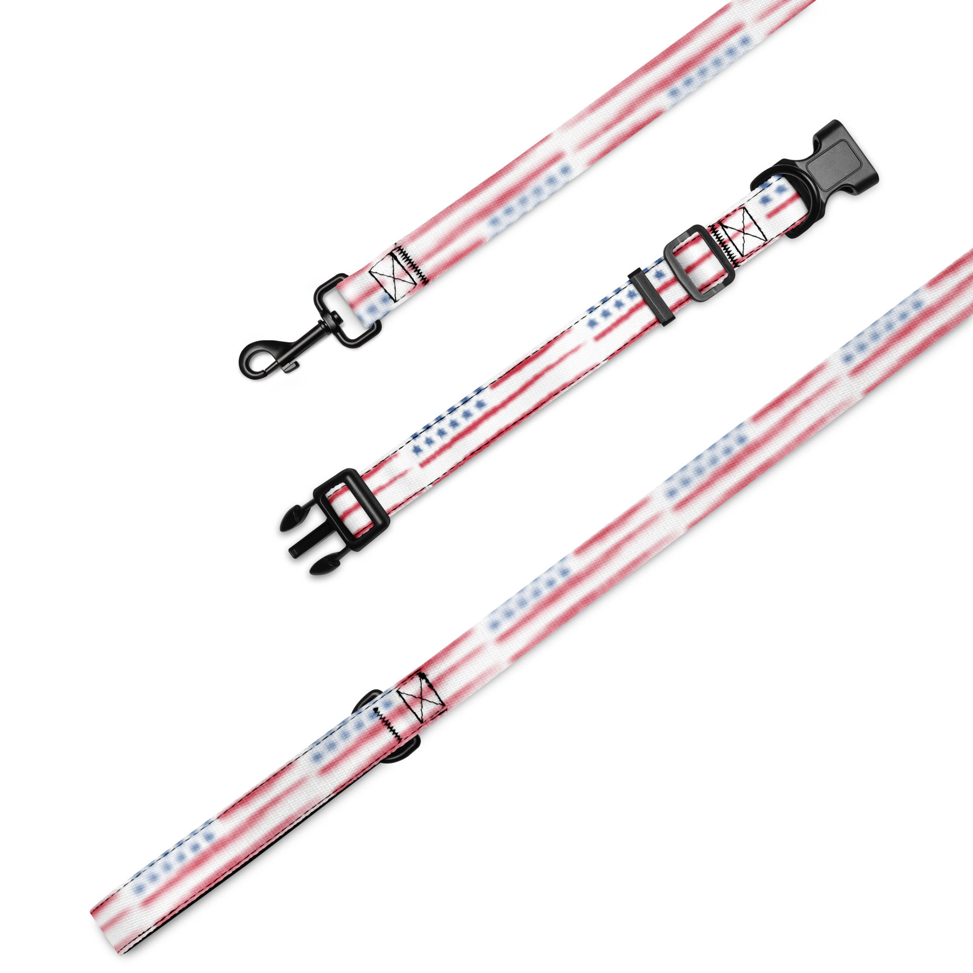 Pet collar & leash