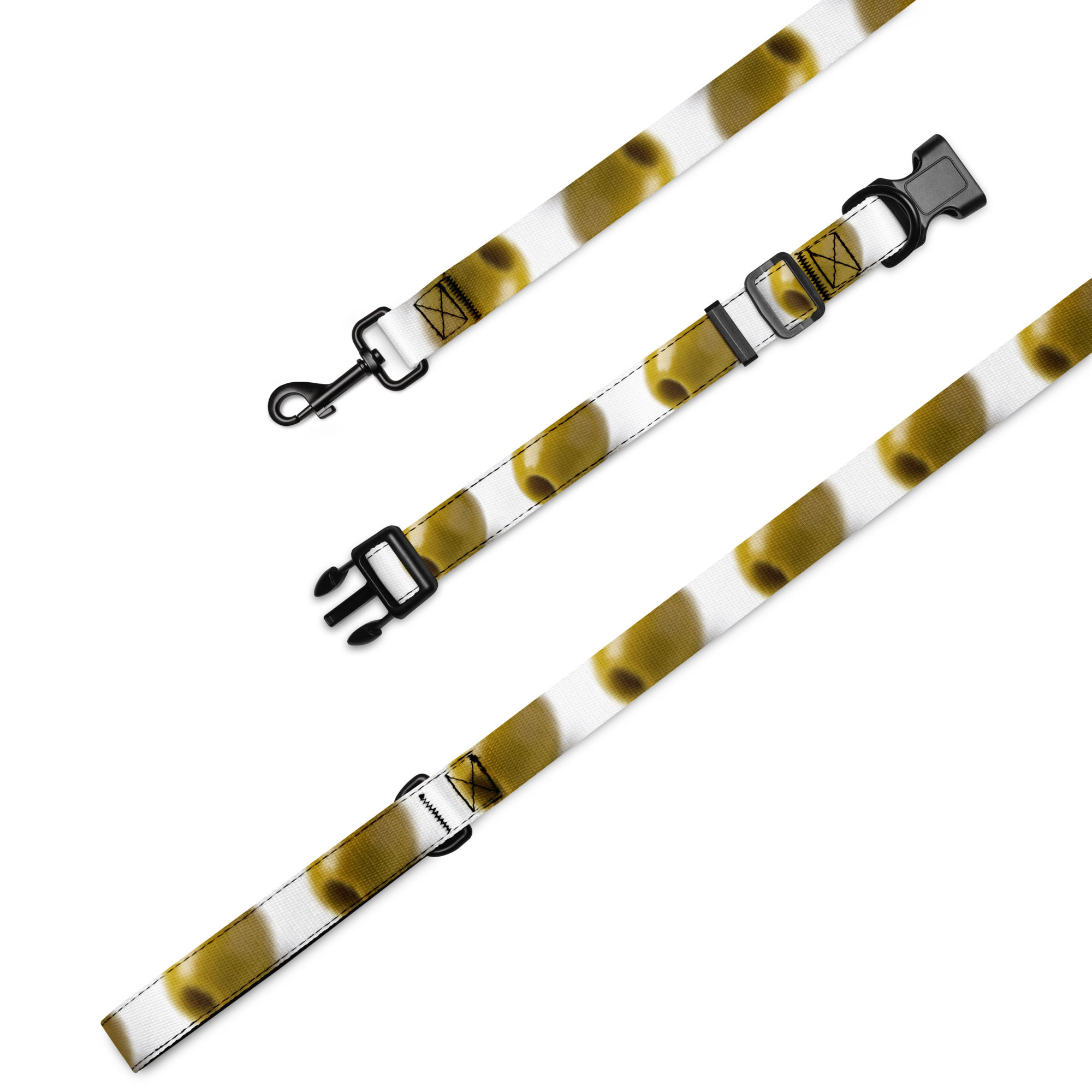 Pet collar & leash