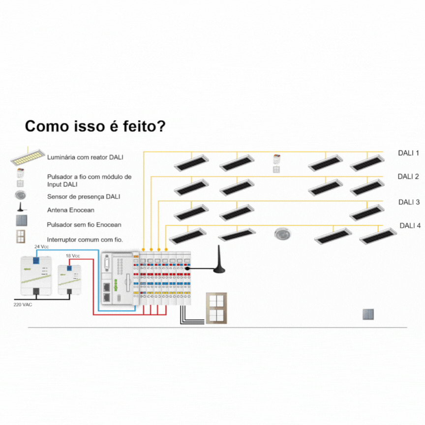 Funcionamento Daili.gif