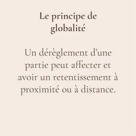 5 principes2.png
