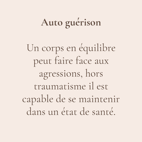 5 principes.png