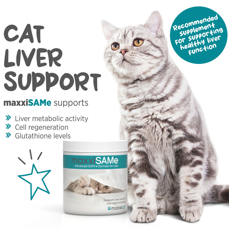 Thumbnail: maxxipaws® - maxxiSAMe for cats (Expiry December 2026)