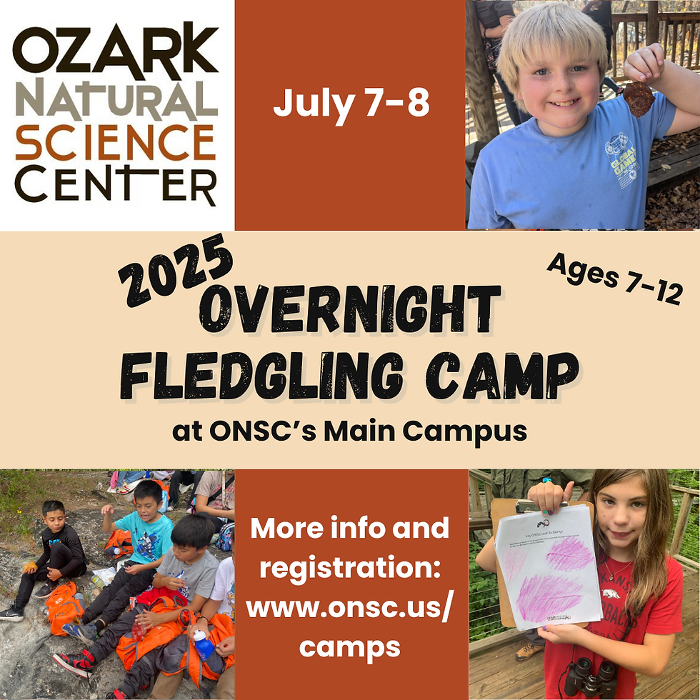 2-day, 1-night Fledgling Exploration Camp at ONSC