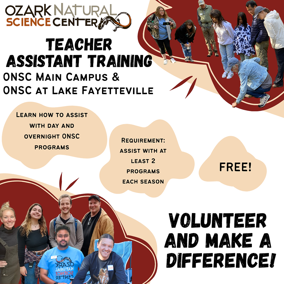 Teacher Assistant Training