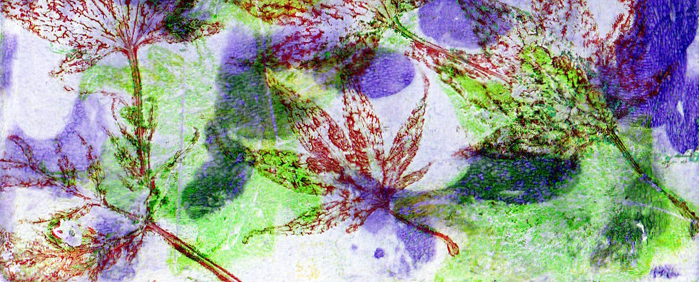 A gel plate experiment from last year