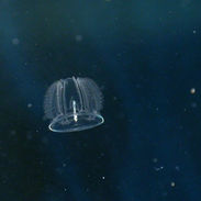 DSCN5268_edited.jpg