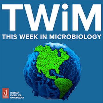 twim_275.jpg