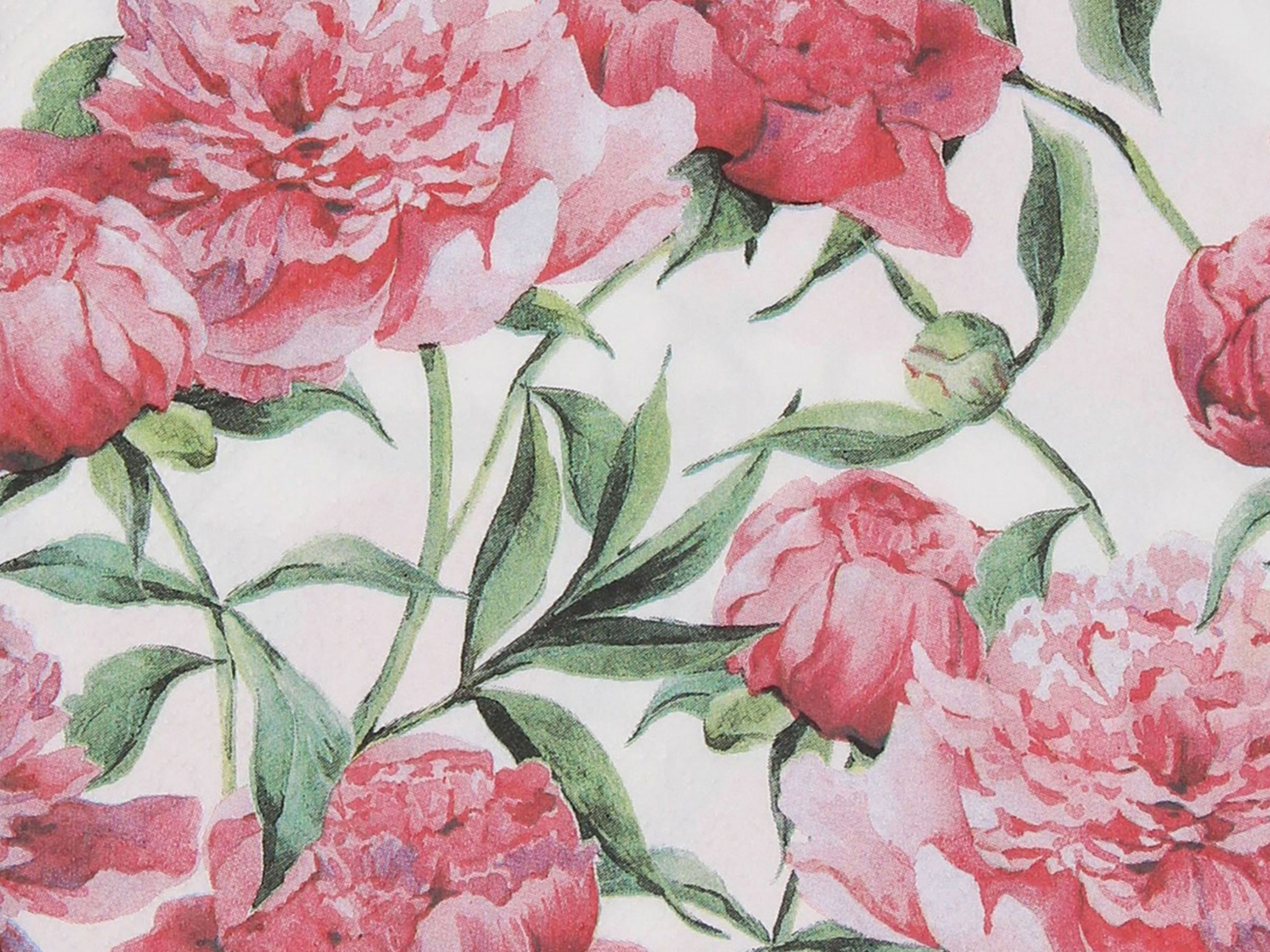 Peonies Paper Napkins