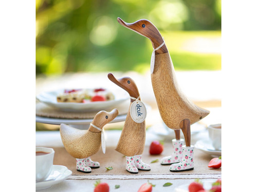 DCUK Wild Strawberry Ducky House to Haven