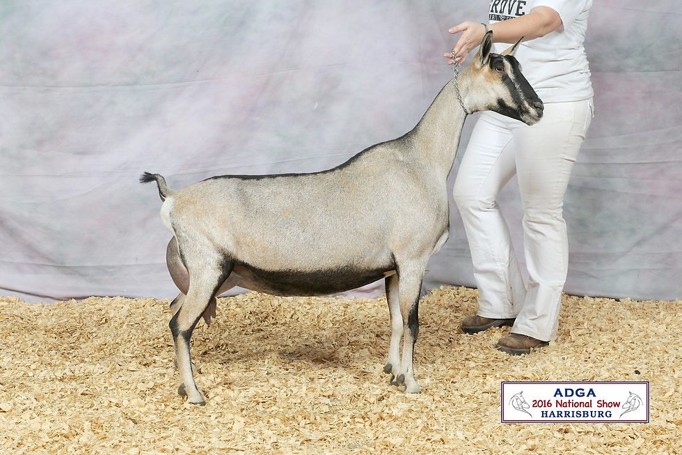 Pleasant-Grove Zen Mirabell