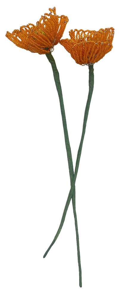 Untitled_Artwork 5.png