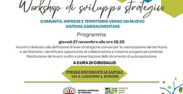 Workshop di sviluppo strategico