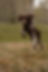 DSC05164.jpeg