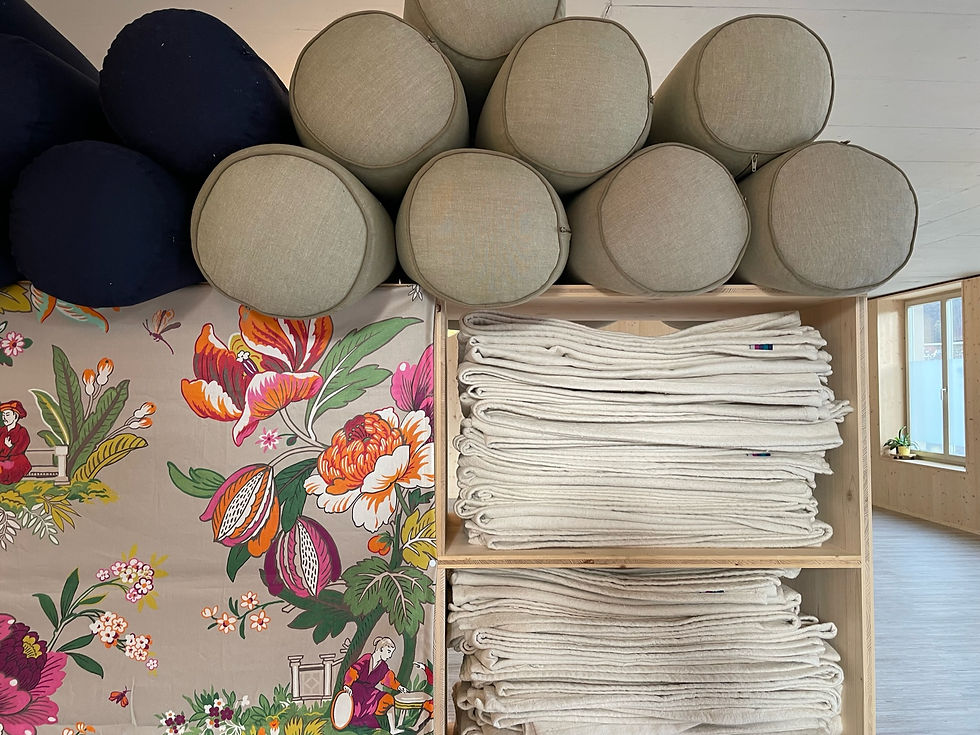 Iyengar-Yoga Workshops in Würenlos