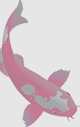 Carpe25203_edited.png