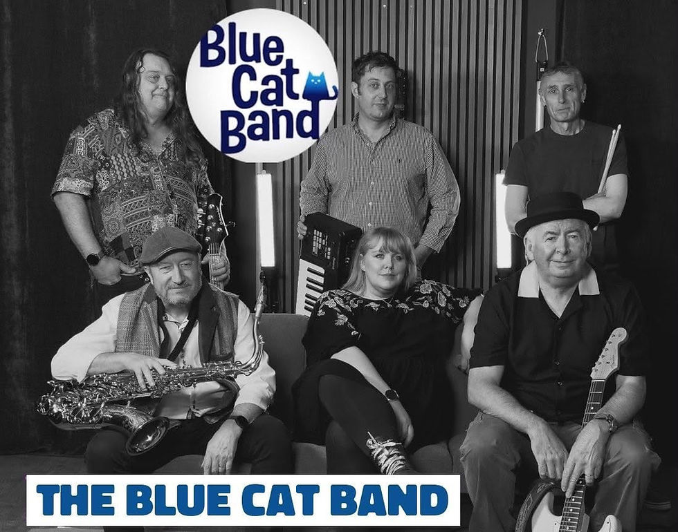 Blue Cat Band